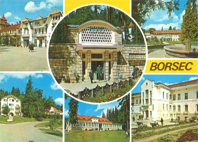 2033-12 - Borsec